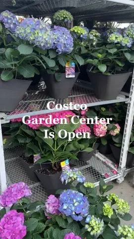 FYI: The Costco Canada Garden Center is open!!! • #costco #costcocanada #kelownacostco #costcogardencentre 