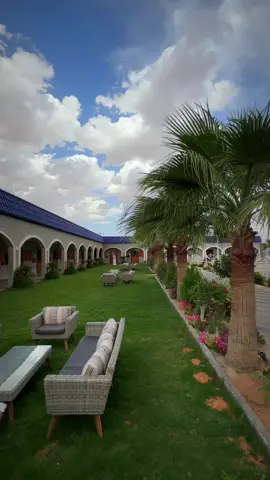 مربط وأكادمية الطائي للخيل العربية الاصيلة#طلال_اليحياء #حائل_الان #مربط_الطائي_للخيل_العربيه_الاصيله #مربط_الطائي #المصور_بدر_طلال_اليحياء #pov #fyp 