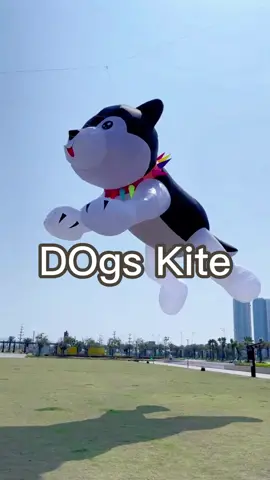 Do you like this dog kite?🪁🪁🐶🦮🐕‍🦺#kites  #kite #kitelover #kitelovers #kiteflying #scenery 