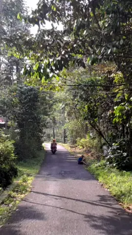 cuaca boleh panas, namun hati harus tetap dingin . #holiday #weekend #ndopok #kopdar #dolan #guyonan #guyonwaton #stories #instastory #musiklirik 