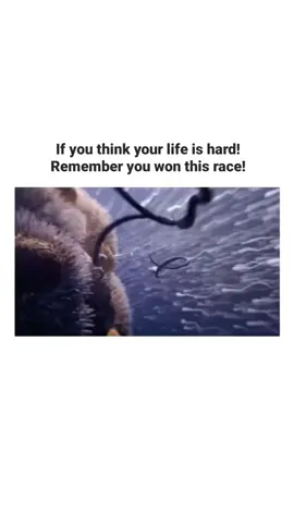 #sigmarule #millionare #billionare #motivation #success #burhan_tv #america #india #france #germany #pakistan #arabic #poetry #1 #2 #3 #4 #5 #6 #8 #gym #Fitness #attitude #chellenge #broken #sigmarule #millionare #billionare #motivation #success #burhan_tv #america #india #france #germany #pakistan #arabic #poetry #1 #2 #3 #4 #5 #6 #8 