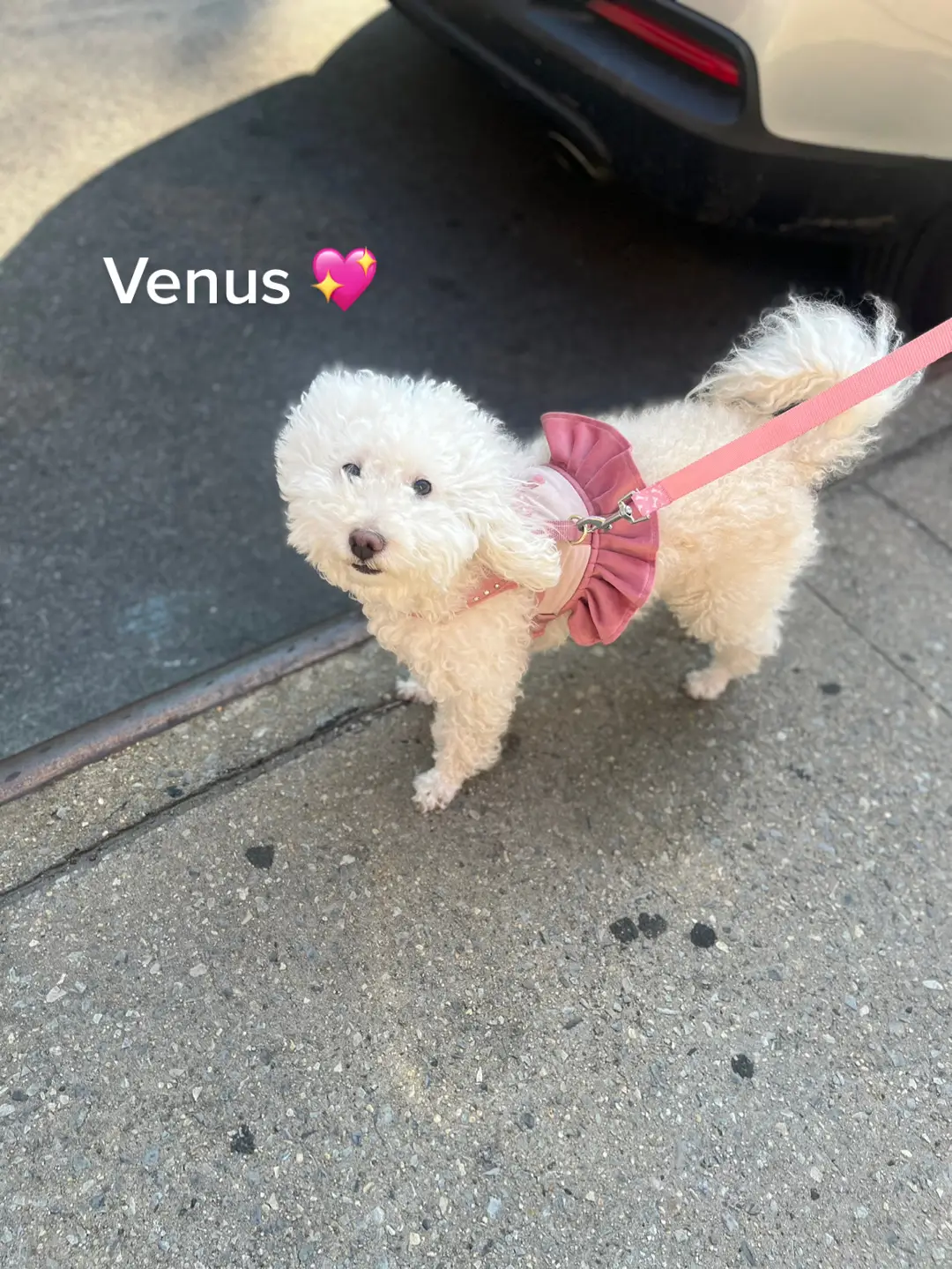 The light of my life 💕