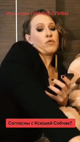 #собчак #бузова #гнилье #гнилыесливы #gnilye_slivy 