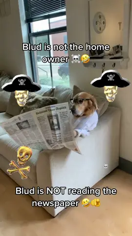 Blud did not purchase the home 🤣☠️ #fyp #meme #blud #viral #donpollo 