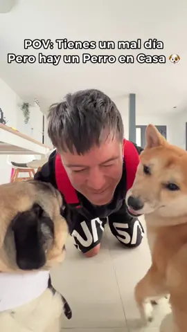 El final.. 🥺🥰 laik por los perritos 😇✨