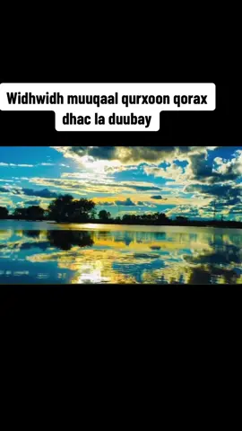 #baliga #widh_widh 