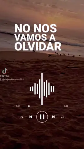 #nonosvamosaolvidar #grupobronco #bronco #fypシ #parati #rolitas #chidas #musica #like #historias #letras 