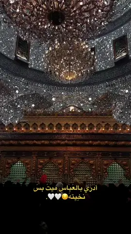اللهم بـ ابا الفضل العباس🤎. #البصرة #يابو_فاضل_دخيلك #شيعة_علي_الكرار 