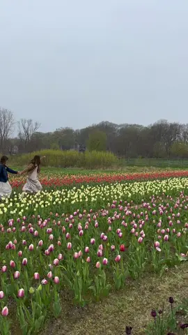 Holland, MI in the rain feels like a movie