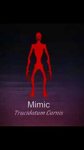 The mimic#_horror_analogico#mimic  #mimicvitacarnis #vitacarnis #creatures #arg #horror #analoghorror #edit #fyp #fyyyyyy 