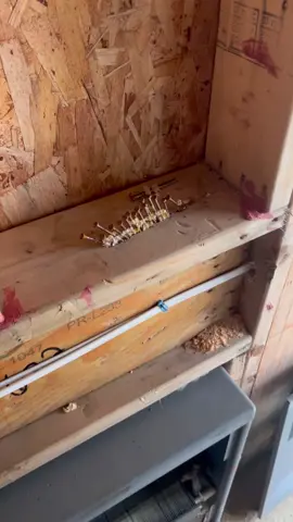 Nails work better when they’re actually installed where they’re needed. #fyp #fypシ #fail #framing #construction #build #OhNo #inspectedrejected #inspectedaccepted #homeinspection #homeinspector #inspectiontherapy #realestate #nails #nailedit #wow #DIY 