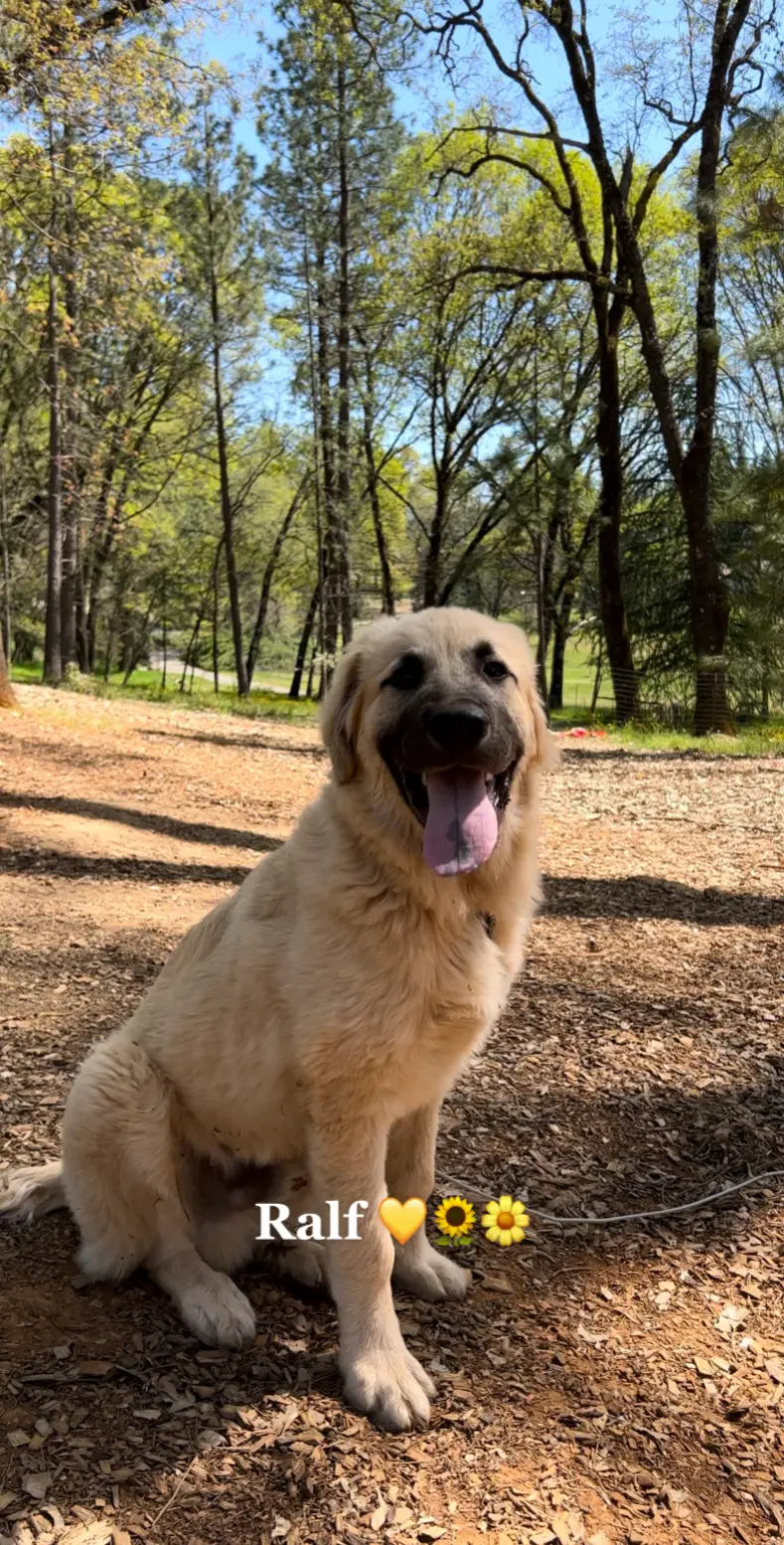 Still a baby 🥹 #fyp 