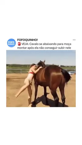 Um cavalo se abaixou para uma mulher montar nele, após ela não conseguir subir #cavalo #animais #animal #hipismo 🐴 