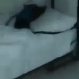 #эржанвставай #наработупора #приколы #лайк #подпишись #врек 