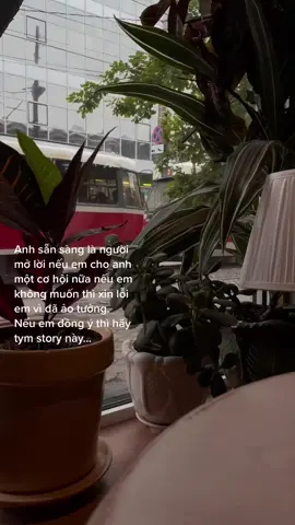 Nhé #xhuongtiktok #stttamtrang 