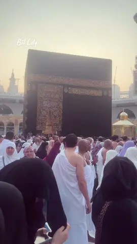 ❤️❤️❤️