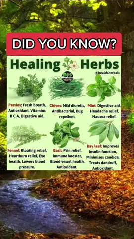 Watch Next 👉 @wellnesstactics #homeremedies #naturalremedies #healthbenefits #naturalremedy #naturalmedicine #healthtips #herbs #healthiswealth #holistichealth #remedies 