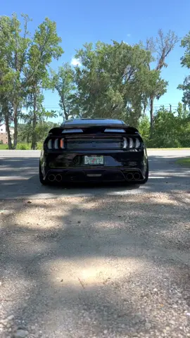 Coyote Rev ASMR! #cars #s550mustang #mustang #mustanggt #ford #gt350 #cobra #mustangsoftiktok #ASMR #carbonfiber #steeda #exhaust #