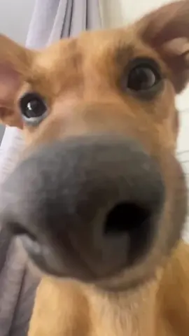 Like your friend？#CapCut 