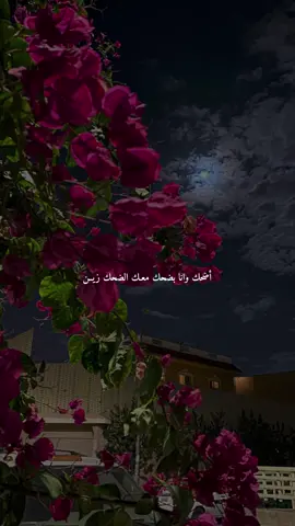 معك الضحك زين ❤️ #اكسبلور #explore #foryou #fyp #تصويري #بندر_بن_عوير 