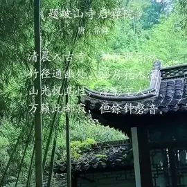 累的时候，不妨读读这十首小禅诗，又美，又治愈，读懂豁然开朗。#禅诗 #古诗 #诗词鉴赏 #每天一首古诗词 #禅悟人生 #古风诗词 