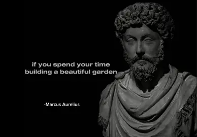- START BUILDING YOUR EMPIRE AND LET SUCCESS CHASE YOU.💪 #qoutes #stoicism #motivation #stoic  #quoteformotivation #nevergiveup #lifelesson #inspirational #fyp #viralvideo #don'tgiveup #lifequotes  #dailymotivation 