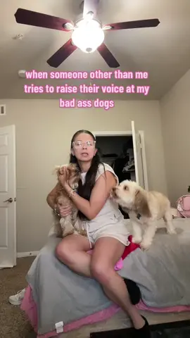 theyre all trying to fight in the middle of the tik tok  #latinasbelike #whitedogsoftiktok #dogsoftiktok #dogmomaf #dogmom #mexicandogs 