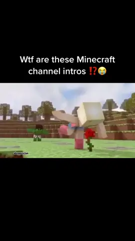 Dude started sprinting at it 💀 #fyp #minecraftmemes #minecraftfunny #gamingcommunity 