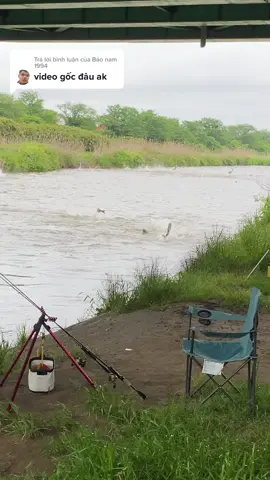 Trả lời @Bảo nam 1994 video gốc đây nha mn. Nhiều người bảo ghép quá.Do có thuyền đi qua nên động nước cá nhảy lên tí xong lại bình thường thôi ạ. Chứ k có thiên tai động đất gì đâu ạ 