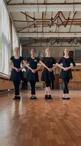 мы не балерины,если что 😂 #балерины #танецмаленькихлебедей #прикол 