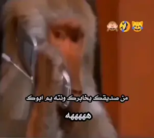 #الشعب_الصيني_ماله_حل😂😂 #المصمم_سكندر✅❔ #تصميم_فيديوهات🎶🎤🎬 