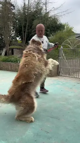 This dog is so fierce