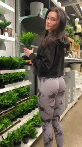 #alexiagrace 