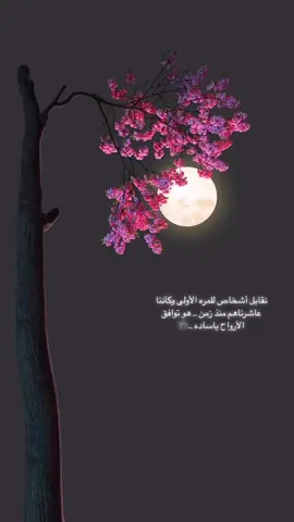 #اكسبلورexplore #اكسبلور #حب #كلمات #ترند_تيك_توك_جديد⚡️🎬 
