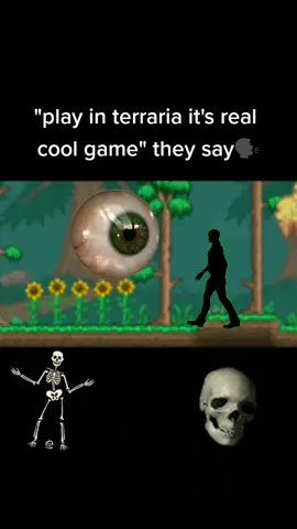 #hoodirony #hoodironymemes #terraria #fyp 