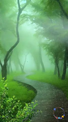 See the scenery #scenery #beautiful #rainyday landscape #fyp #foryou 