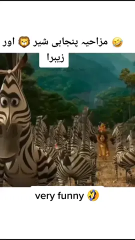 very funny sher our zebra😂  #punjabidubbed #foryou #foryoupage #viralvideo #trending #fyp 