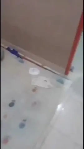 #CapCut #parati  #velocidad #reicing💯 #viral 