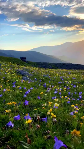 شروق الشمس في جبال جورجيا #طبيعة #سياحة #جورجيا 