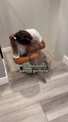 The true definition of drama..🤣😅 #fyp #foryou #foryoupage 