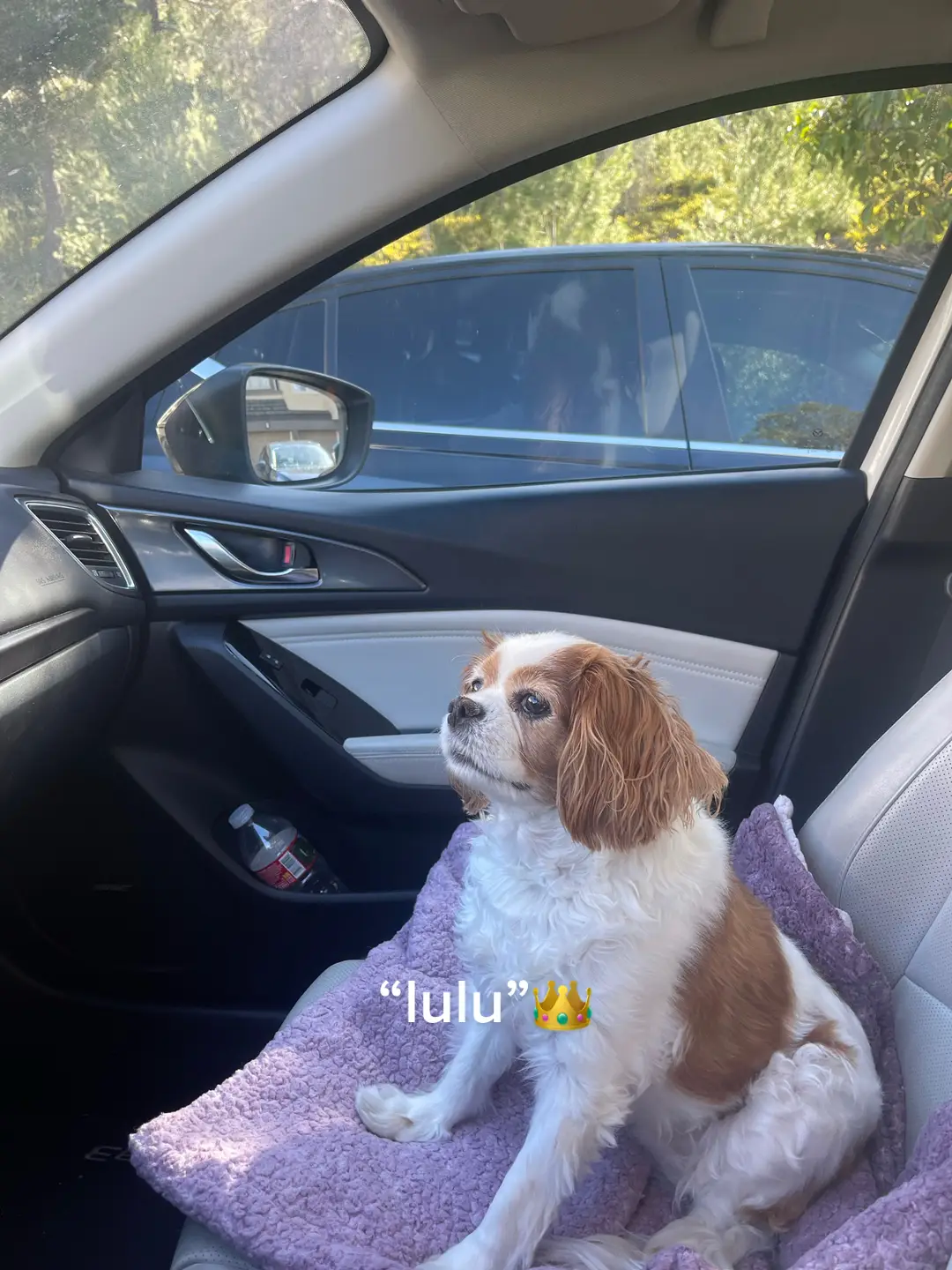 shes all grown up 🥹💓