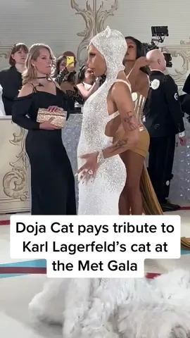 @Doja Cat arrives at the 2023 #MetGala dressed in tribute to #KarlLagerfeld’s cat, Choupette. #dojacat 