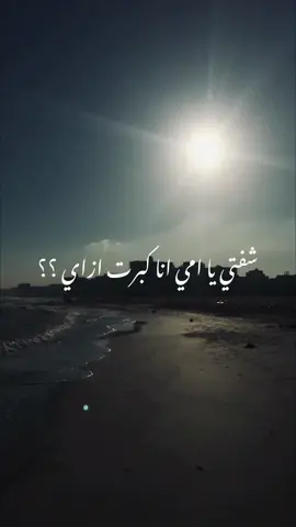 #تصويري#تصميمي#viral#fy#fyp#foryou#photography#اكسبلور#