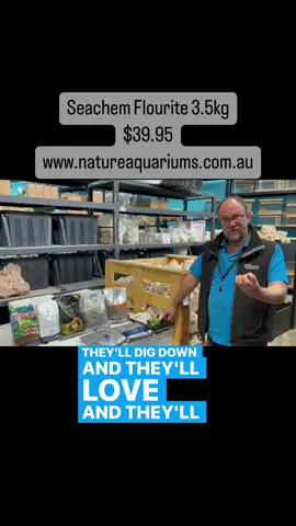 @Seachem Flourite is a fantastic base layer to go underneath your aquasoil especially if you’re choosing plants that love to dig deep with their roots! Crypts and amazon swords will grip onto the flourite for the extra nutrients! Only $39.95 for a 3.5kg bag and available in store and online at www.natureaquariums.com.au #aquariumlife #aquariumhobby #reelsdaily #fyp #foryourpage #fypシ #aquascape #aquascaper #aquascaping 