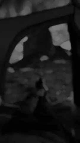 DIDIN CANON 16_AKHTINI V2 #rapdz16🇩🇿🇲🇦🇹🇳 #rapdzparoles #foryou #rapdz #fyp 