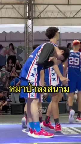 หมาป่าลงสนาม เดือดปุดๆ🐺🌙  #Meennicha8 #มีนนิชคุณ #UA5x5THxMeen #บาสเกตบอล 