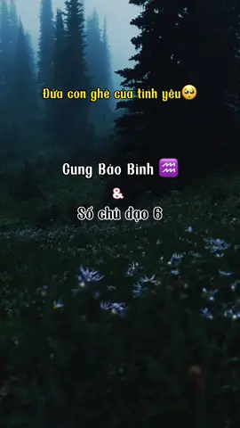 #leolbh #ngumotminh0001 #zodiac #12cunghoàngđạo #12cunghoangdao #cunghoangdao 