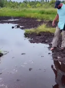#funny #water #slippinginhole #slippinginwaterhole #laugh #foryou #fypシ #viralvideo 