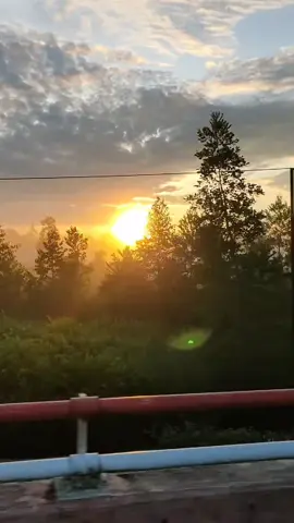 Hanya seorang rakyat jelata yang bahagia bisa menikmati hangatnya mentari pagi di tengah luasnya hutan Kalimantan.. Tanpa peduli bapak-bapak yang datang ke tanah kalimantan hanya mengincar tanah perawan ini untuk dijadikan lahan tambang demi memenuhi gaya hidup mereka yg berkelas & sosialita😔 Tidak bisa di pungkiri saya hanya rakyat kecil yang pasrah klo suatu saat nanti hutan ini akan menggundul secara perlahan💔 #jembatantumbangnusa #tumbangnusa #hutankalimantan  #savehutan #savehutankalimantan #suarahatiperempuan #suarahatianaknegeri #sunrise  #senja #fyp #fypシ  #janganlupabersyukur #gadisdayak #gogreen #saveborneo 