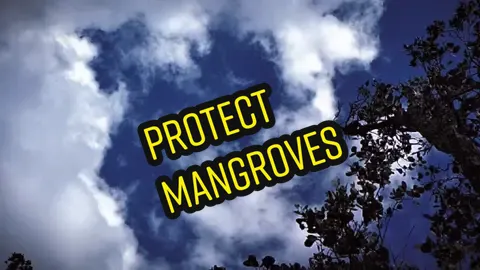 005 | Climate Change | Environmental Awareness and Protection | Don't just think GREEN, LIVE GREEN! TINIG NG KALIKASAN (Voice of Nature) Green Advocacy By: RicoTheGreat888 #environment #fypシ゚viral #fyp #fypシ  #mangroveforest #mangroves  #climatechange #climate #treeplanting #conservation #mangrove 